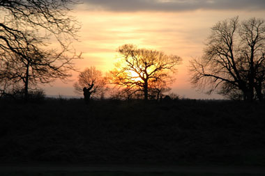 richmond-park-car
